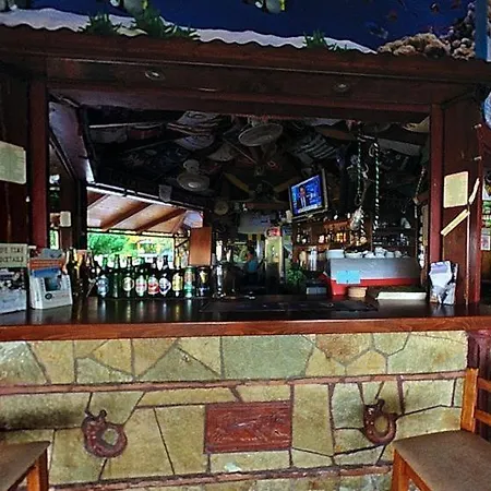 安妮提斯酒店 酒店 蒂锡利维